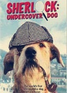 ������Ȯ