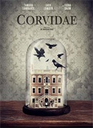 ������ϵ