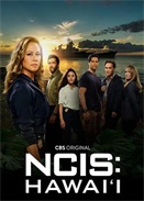 �����ﰸ���鴦�������ĵڶ���