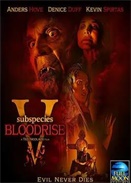 ����5��Ѫ��