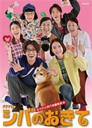 ��Ȯ�Ĺ��������Ⱥ���ձ༭��