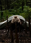 ���Ӹ���