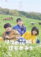 ���㻨�����޵�