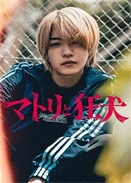 ���������Ȯ